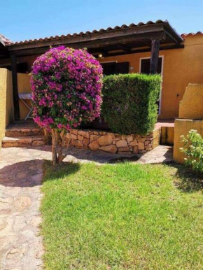 Casa di Giò - Bilocale con giardino Porto Pollo